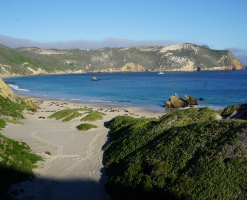 Santana Sailing Northern Channel Islands Sailing Cruises