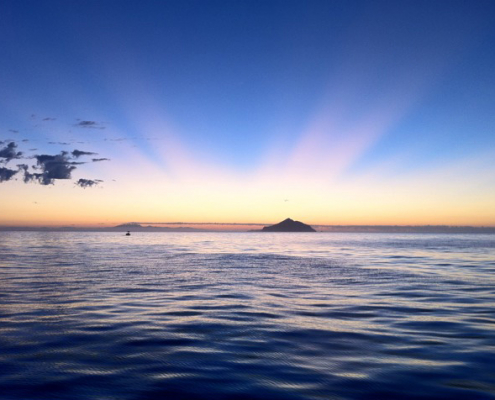 11 E. Stoller cropped