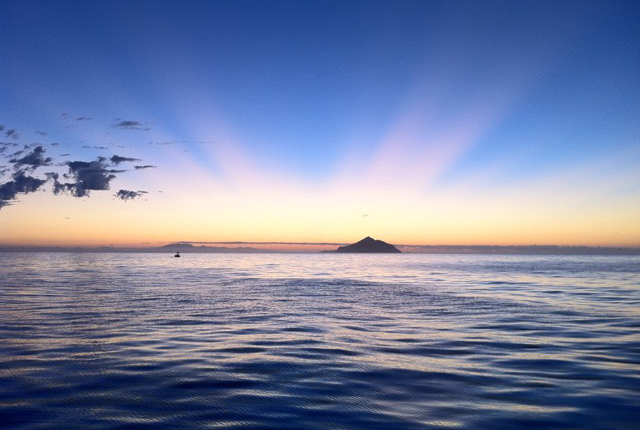 11 E. Stoller cropped