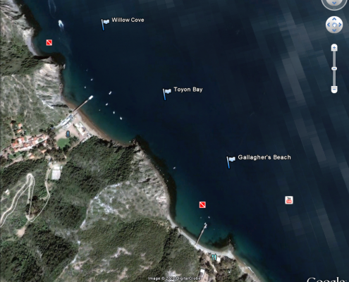 Willow,Toyon,Gallagher GE Aer Labeled