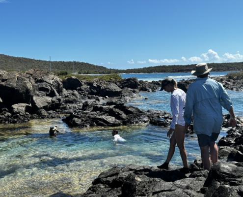 People exploring rocky shoreline with clear water on a sunny day, perfect for sailing and beach adventures.